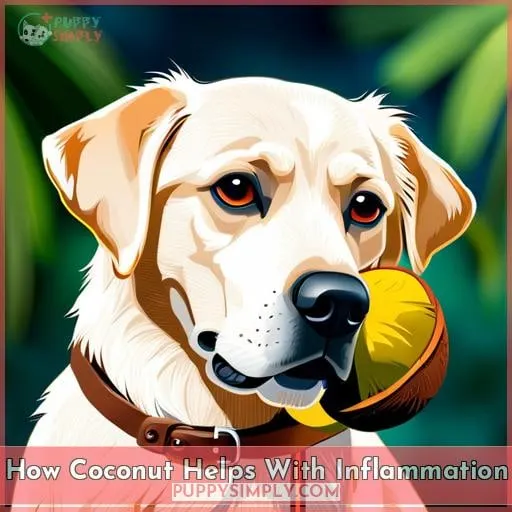 How Coconut Helps With Inflammation
