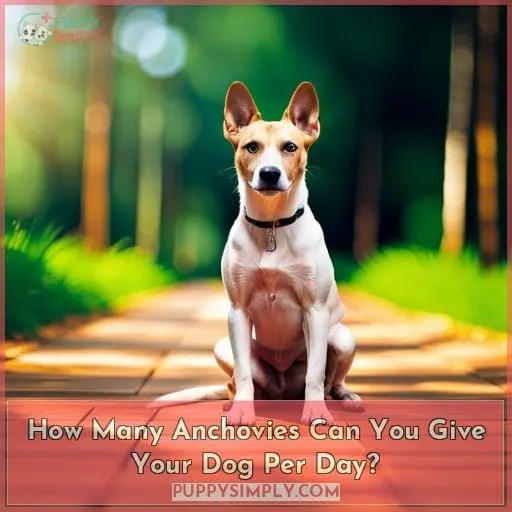 How Many Anchovies Can You Give Your Dog Per Day?