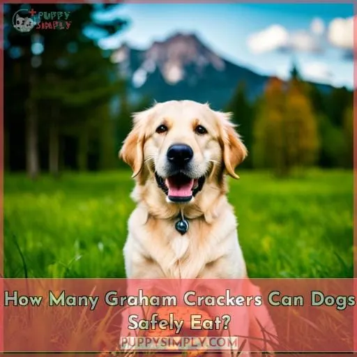 How Many Graham Crackers Can Dogs Safely Eat?