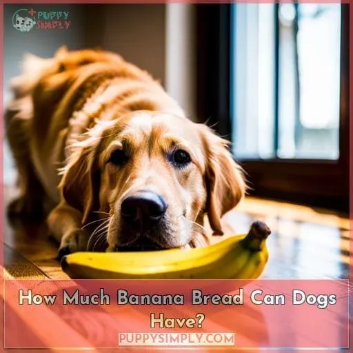 How Much Banana Bread Can Dogs Have?