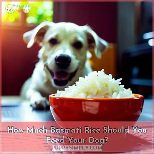 How Much Basmati Rice Should You Feed Your Dog?
