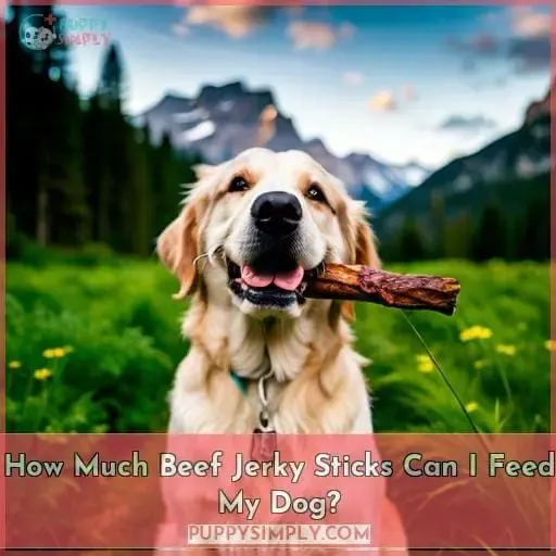 How Much Beef Jerky Sticks Can I Feed My Dog?