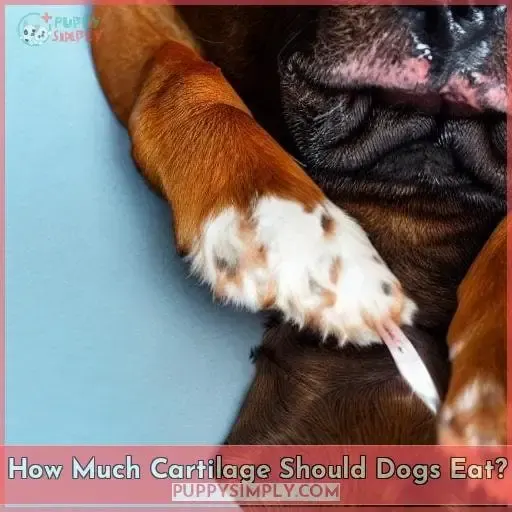 How Much Cartilage Should Dogs Eat?