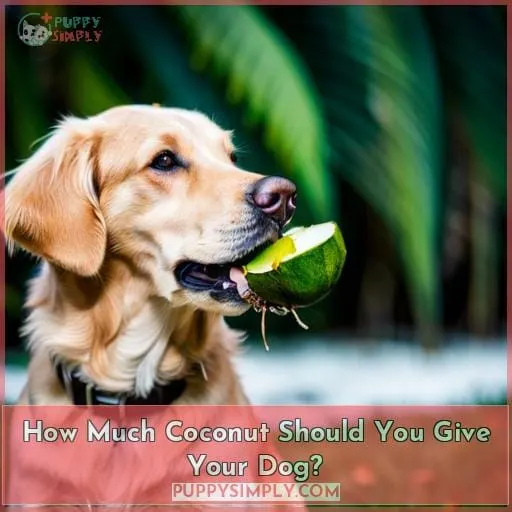 How Much Coconut Should You Give Your Dog?