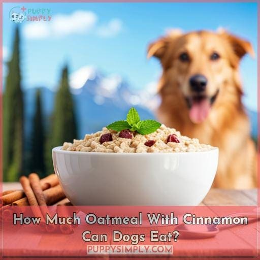 How Much Oatmeal With Cinnamon Can Dogs Eat?