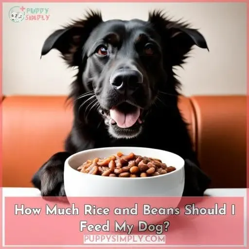 How Much Rice and Beans Should I Feed My Dog?