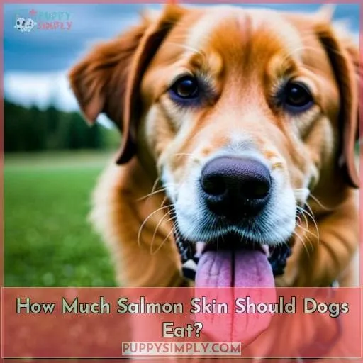 How Much Salmon Skin Should Dogs Eat?