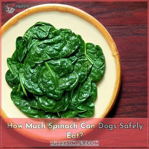 How Much Spinach Can Dogs Safely Eat?