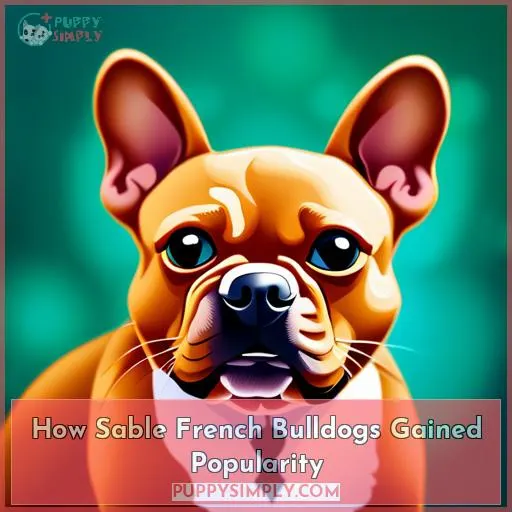 How Sable French Bulldogs Gained Popularity