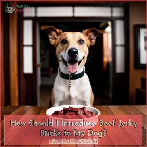 How Should I Introduce Beef Jerky Sticks to My Dog?