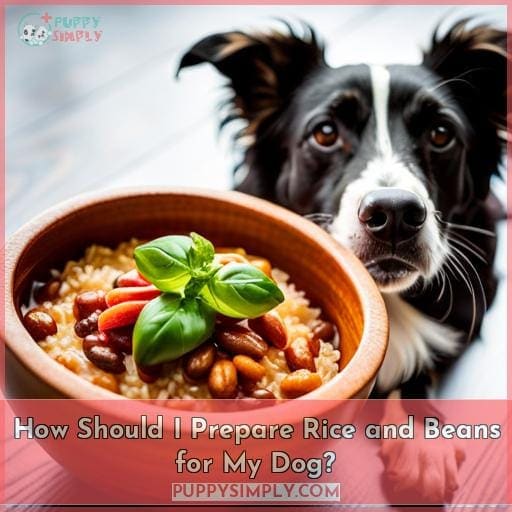 Can Dogs Eat Rice and Beans? A Veterinarian's Guide to Nutrition and