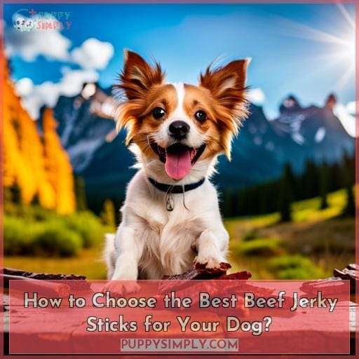 How to Choose the Best Beef Jerky Sticks for Your Dog?