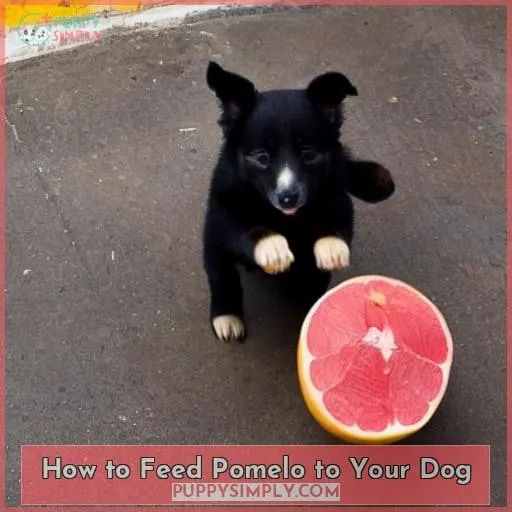 How to Feed Pomelo to Your Dog