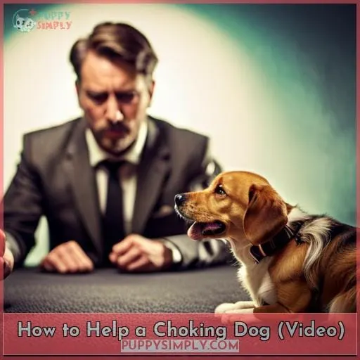 How to Help a Choking Dog (Video)