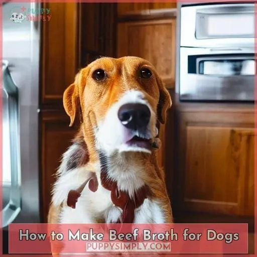 How to Make Beef Broth for Dogs