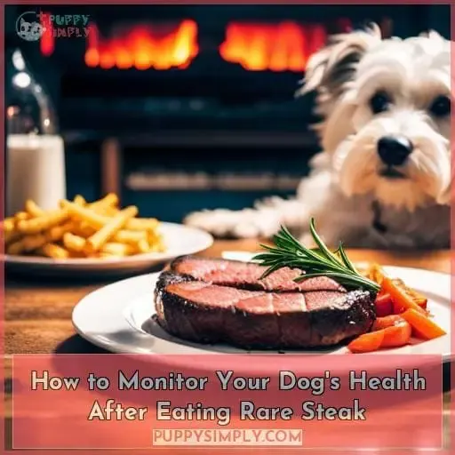 How to Monitor Your Dog