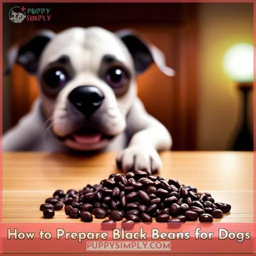 How to Prepare Black Beans for Dogs