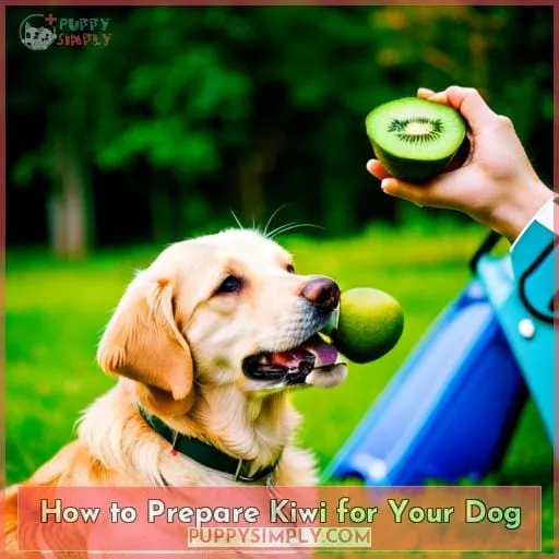 How to Prepare Kiwi for Your Dog