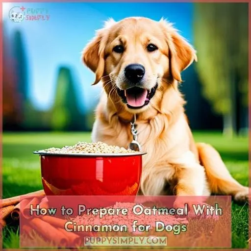 How to Prepare Oatmeal With Cinnamon for Dogs