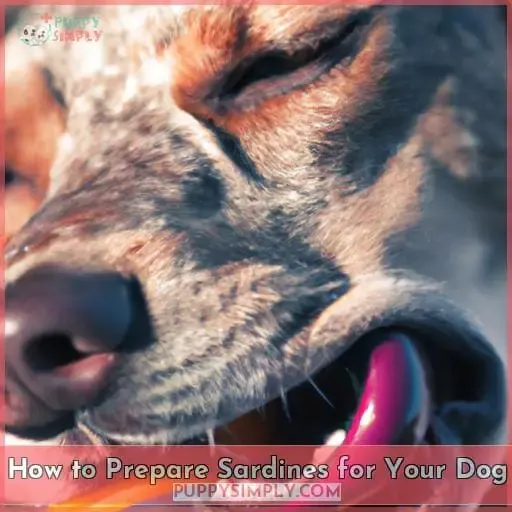 How to Prepare Sardines for Your Dog