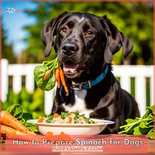 How to Prepare Spinach for Dogs
