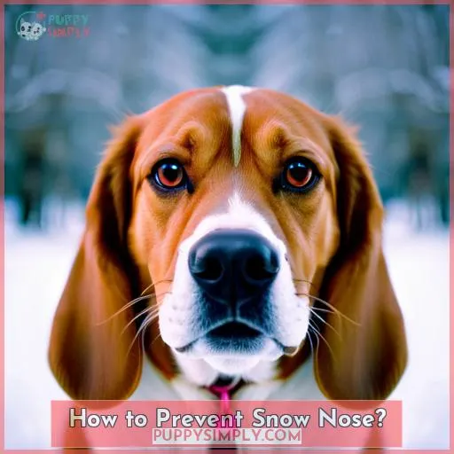 How to Prevent Snow Nose?