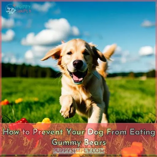 How to Prevent Your Dog From Eating Gummy Bears