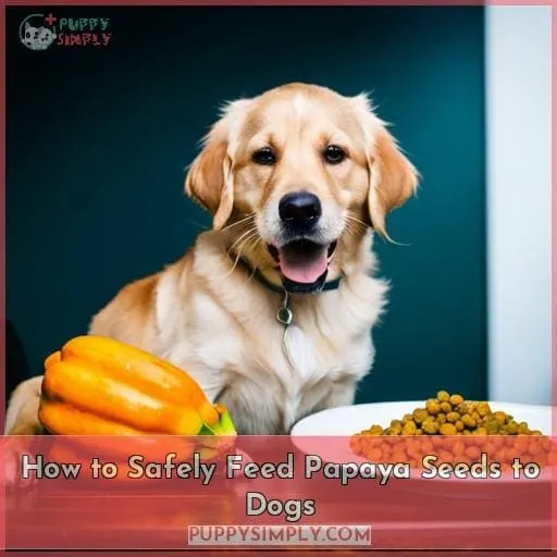 How to Safely Feed Papaya Seeds to Dogs