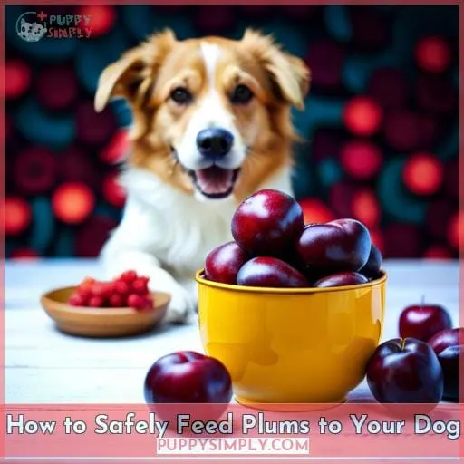 How to Safely Feed Plums to Your Dog