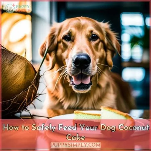 How to Safely Feed Your Dog Coconut Cake