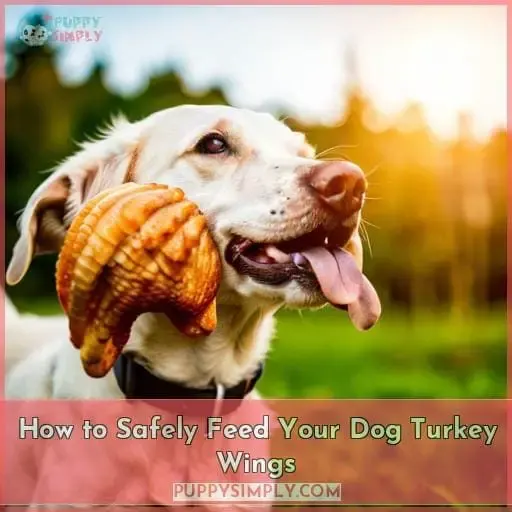 How to Safely Feed Your Dog Turkey Wings