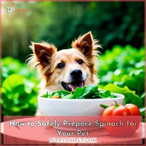 How to Safely Prepare Spinach for Your Pet