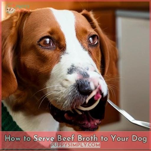 How to Serve Beef Broth to Your Dog
