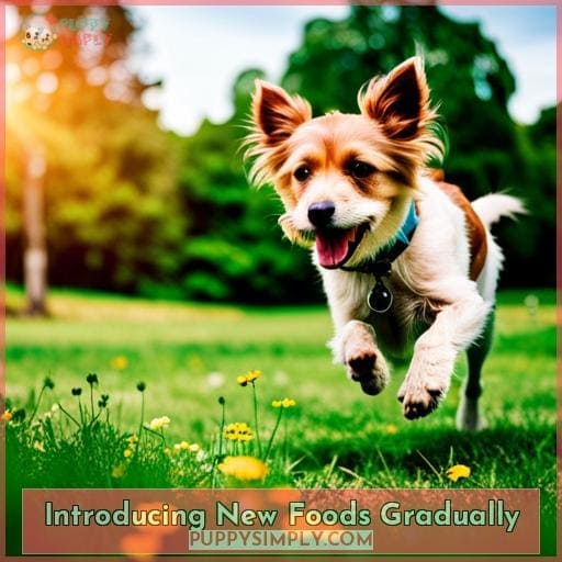 Introducing New Foods Gradually