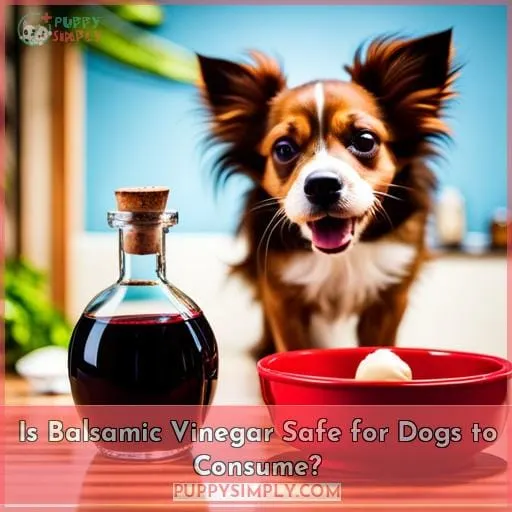 Is Balsamic Vinegar Safe for Dogs to Consume?