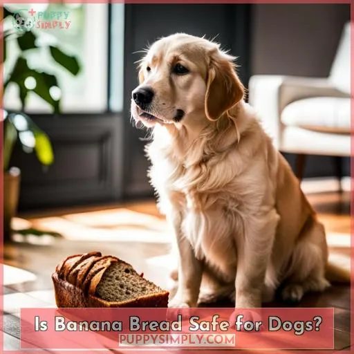 Is Banana Bread Safe for Dogs?