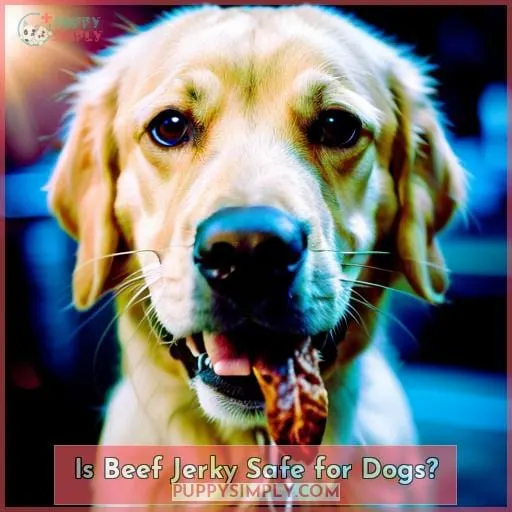 Is Beef Jerky Safe for Dogs?