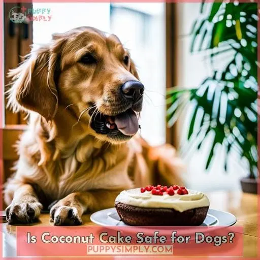 Is Coconut Cake Safe for Dogs?