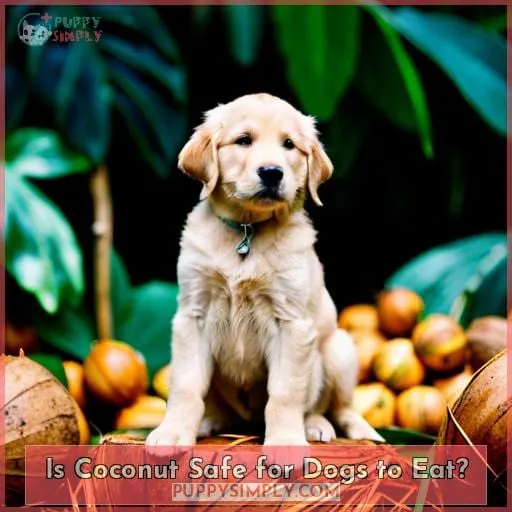Is Coconut Safe for Dogs to Eat?