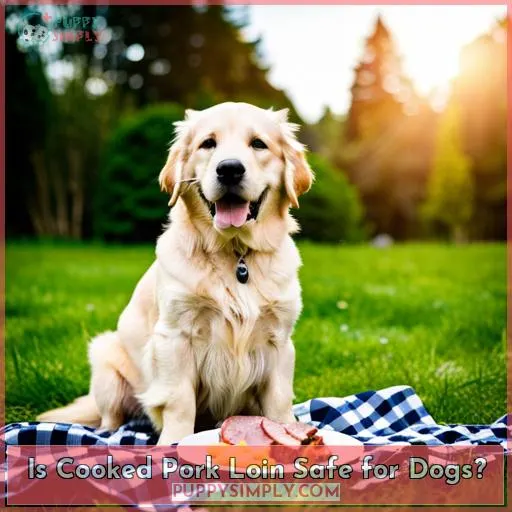 Is Cooked Pork Loin Safe for Dogs?