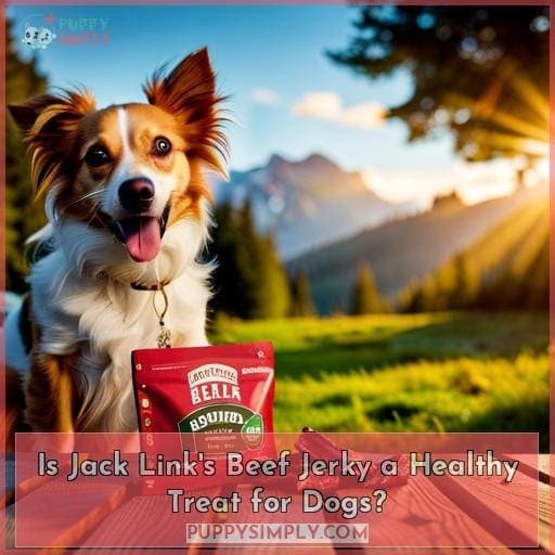 Is Jack Link's Beef Jerky a Healthy Treat for Dogs?