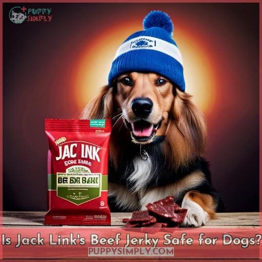 Is Jack Link's Beef Jerky Safe for Dogs?