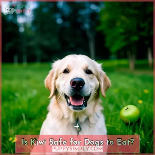 Is Kiwi Safe for Dogs to Eat?
