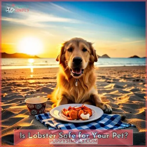 Is Lobster Safe for Your Pet?