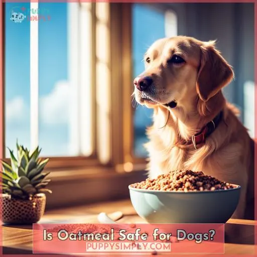 Is Oatmeal Safe for Dogs?