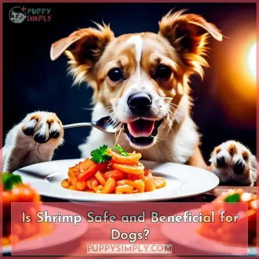 Is Shrimp Safe and Beneficial for Dogs?