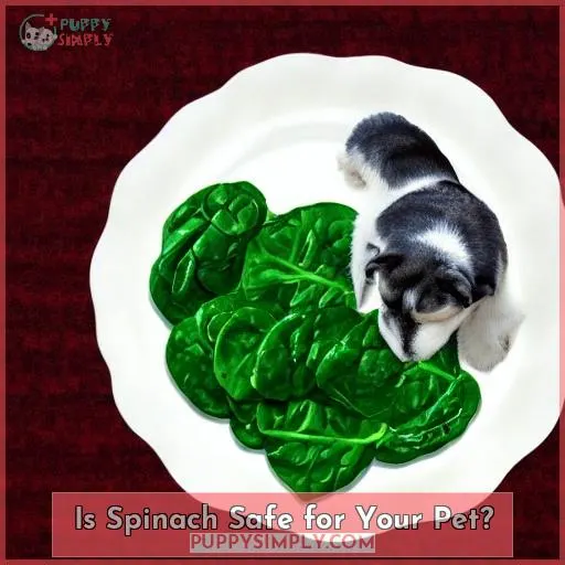 Is Spinach Safe for Your Pet?