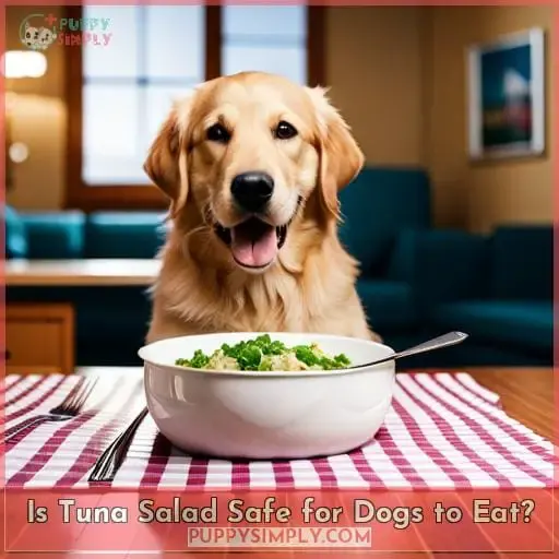 Is Tuna Salad Safe for Dogs to Eat?
