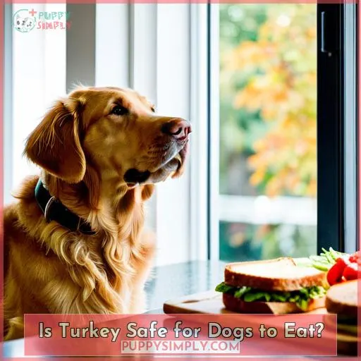 Is Turkey Safe for Dogs to Eat?