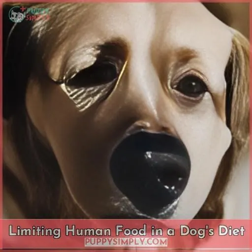Limiting Human Food in a Dog